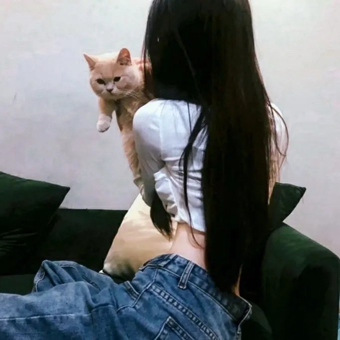 乡巴佬征服纽约